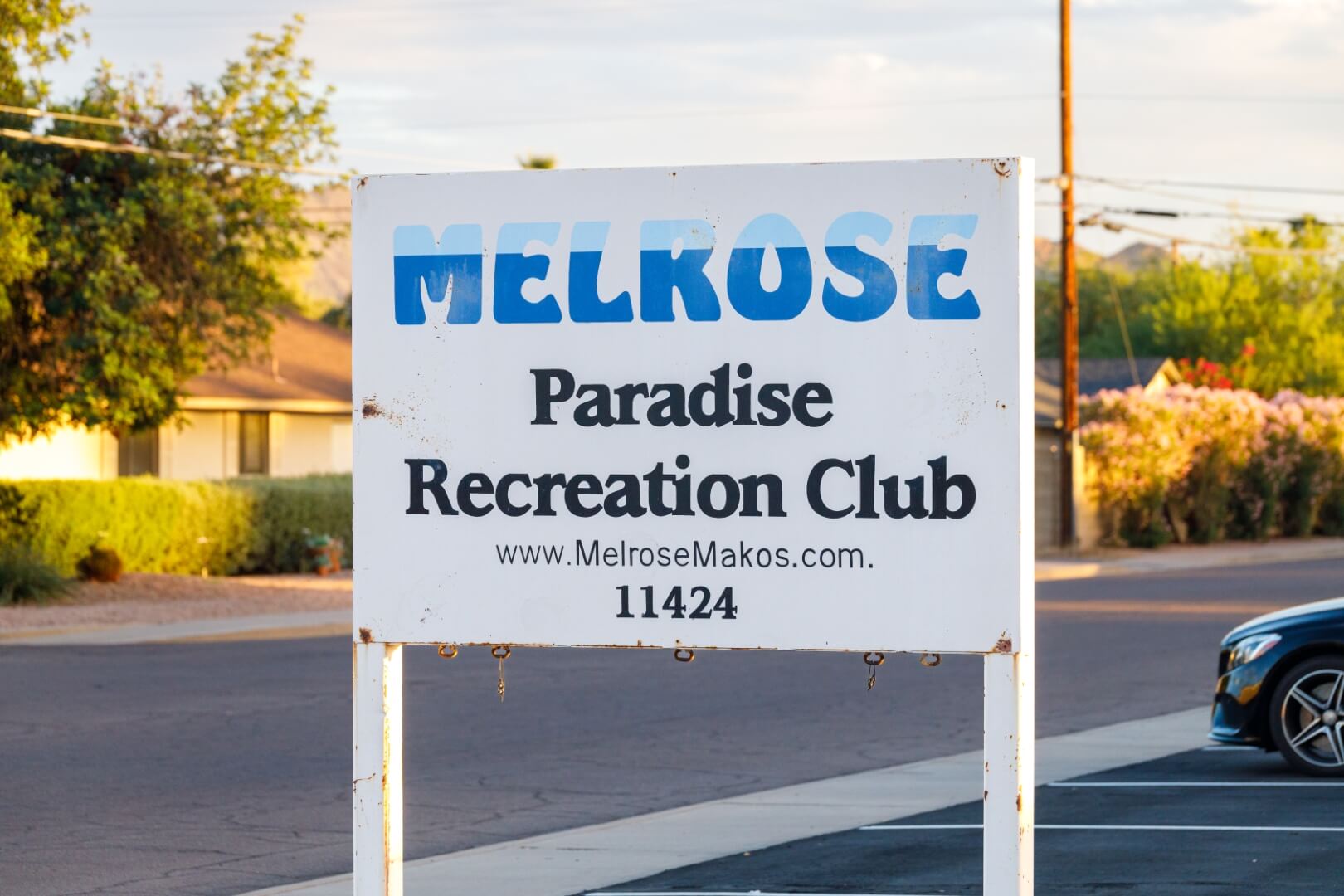 Read more about the article Melrose Makos Annual Swim-A-Thon 2026